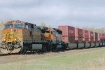 BNSF 4016 East